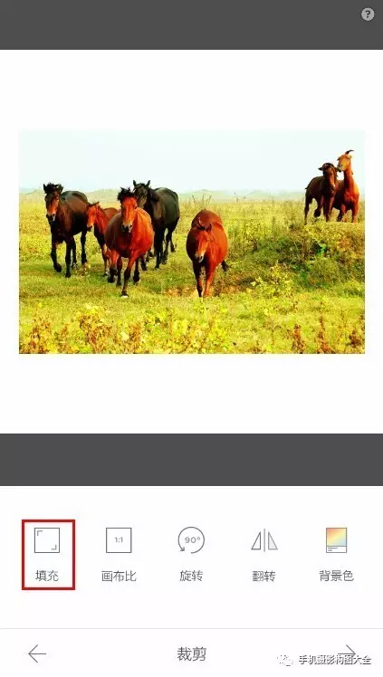 简单好用的相机p图软件,p图神器自拍照片滤镜一键搞定