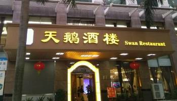 独家体验｜“苗柏”也挡不住珠海有轨电车通车的步伐！