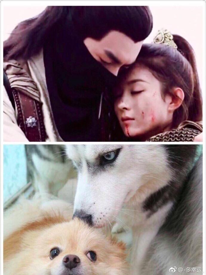 赵丽颖红遍国外,赵丽颖楚乔传外国获奖视频