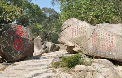 独家体验｜“苗柏”也挡不住珠海有轨电车通车的步伐！
