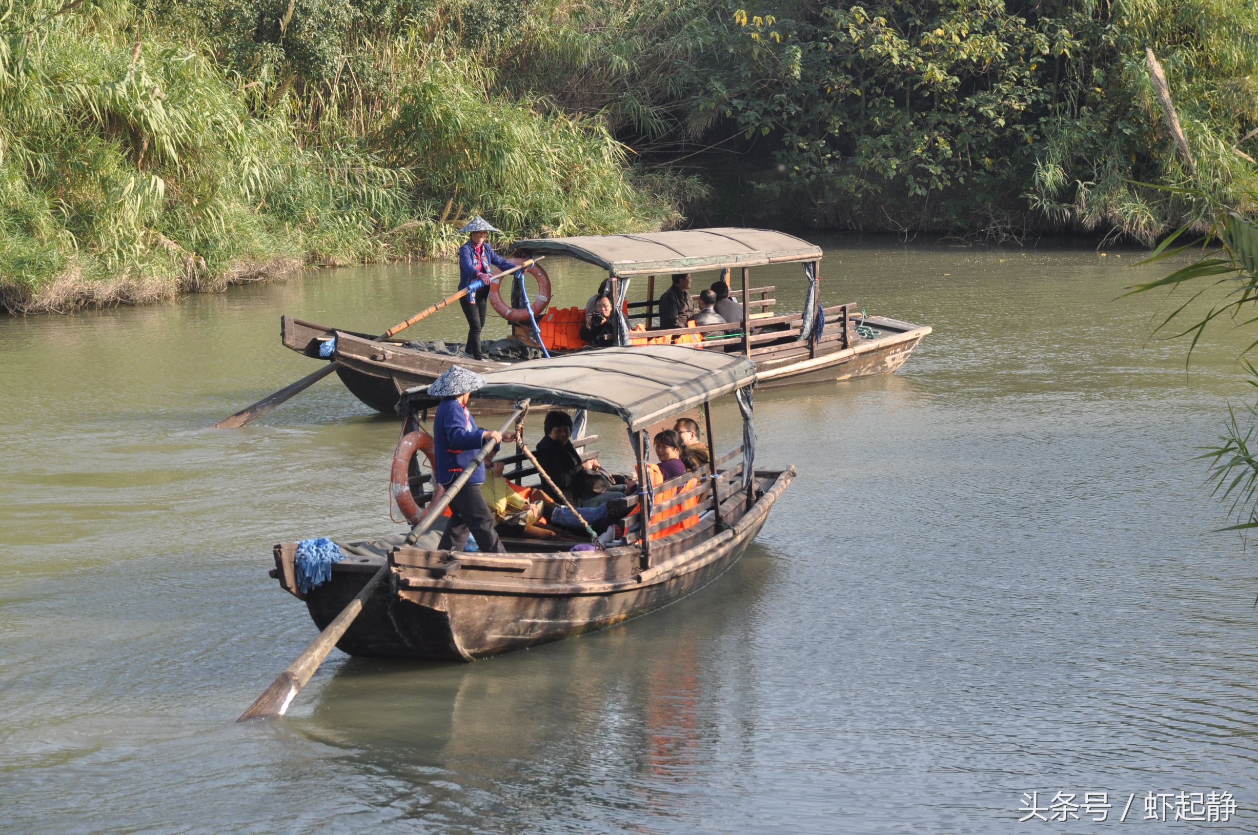 沙家浜芦苇荡风景区民宿价格,沙家浜故事原型芦苇荡在哪里