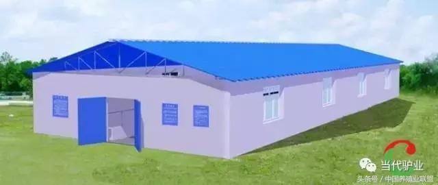 养驴驴舍怎么建,养驴的圈舍怎么建设