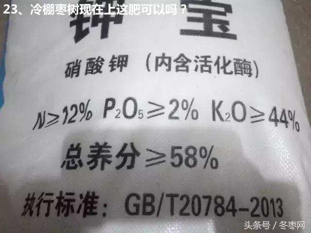 冬枣管理技术及答案,冬枣管理问题解答186期