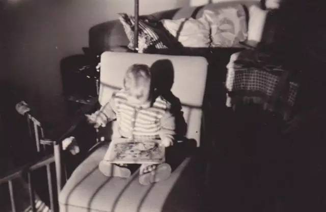 树丛|大眼睛小眼珠,呆萌可爱舍夫勒