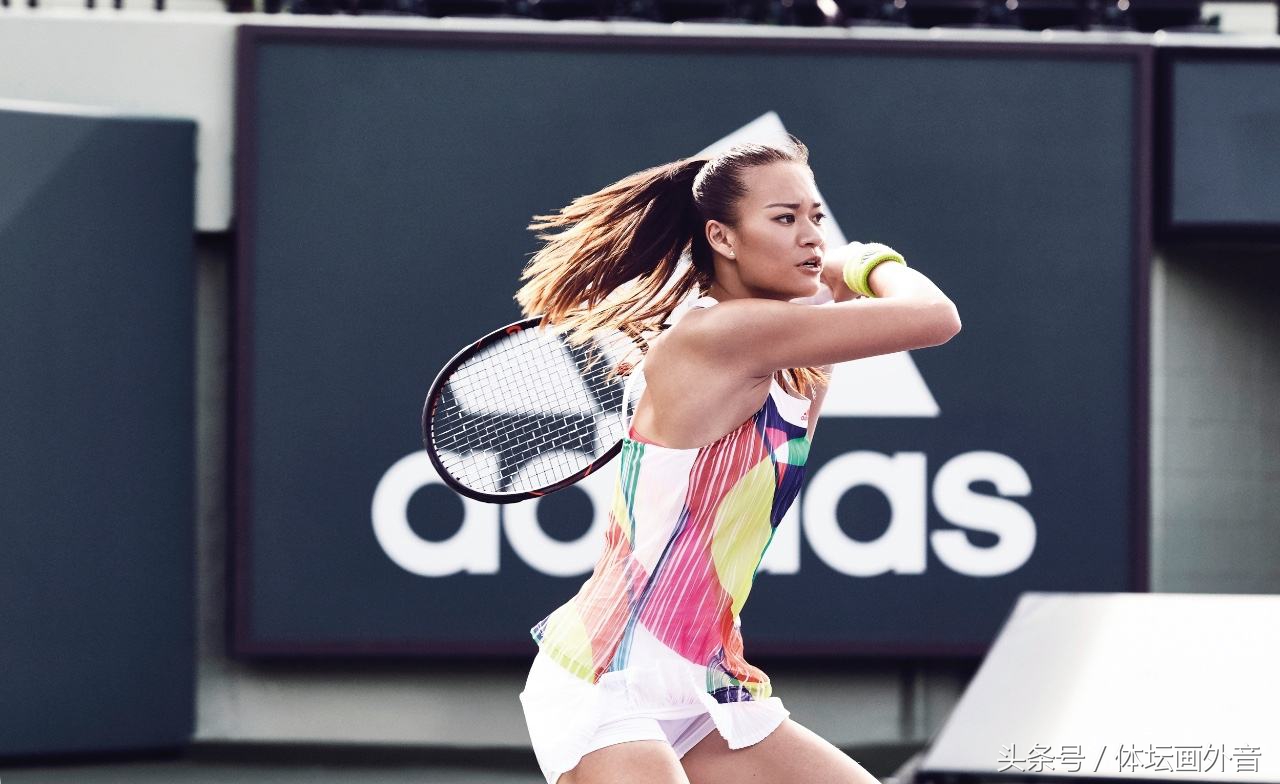 樊振东夺得大满贯的新希望,樊振东大满贯现状