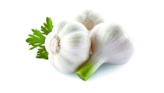 5个防蚊虫的好方法夏天不怕被咬,夏天被蚊子咬的全是包