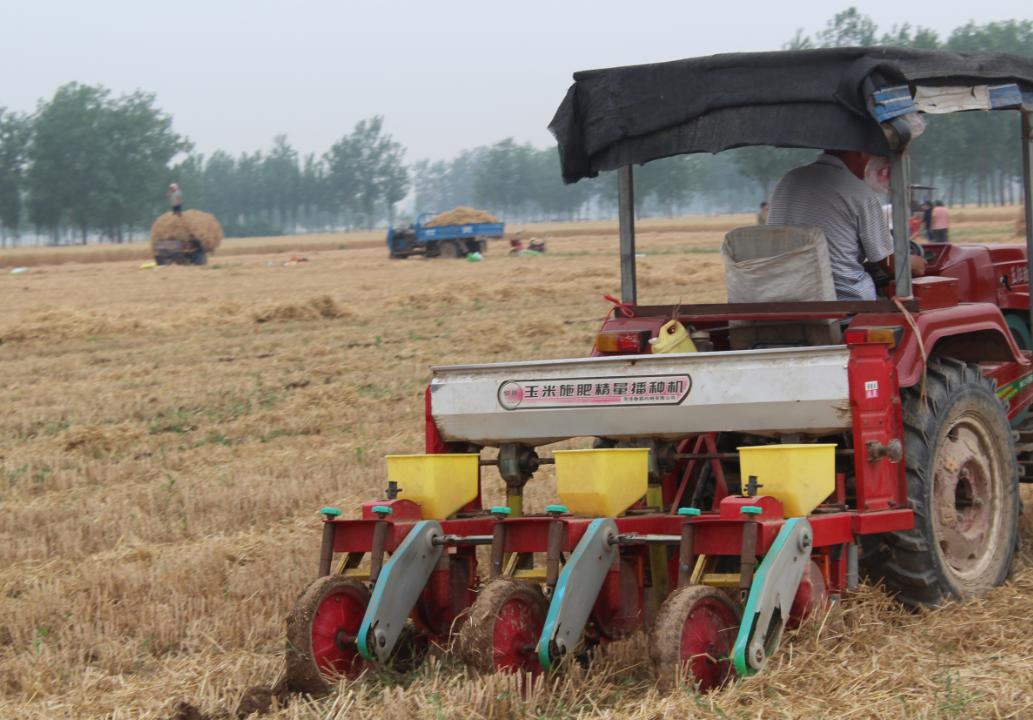 套马的汉子最威武视频,套马的汉子雄壮吗