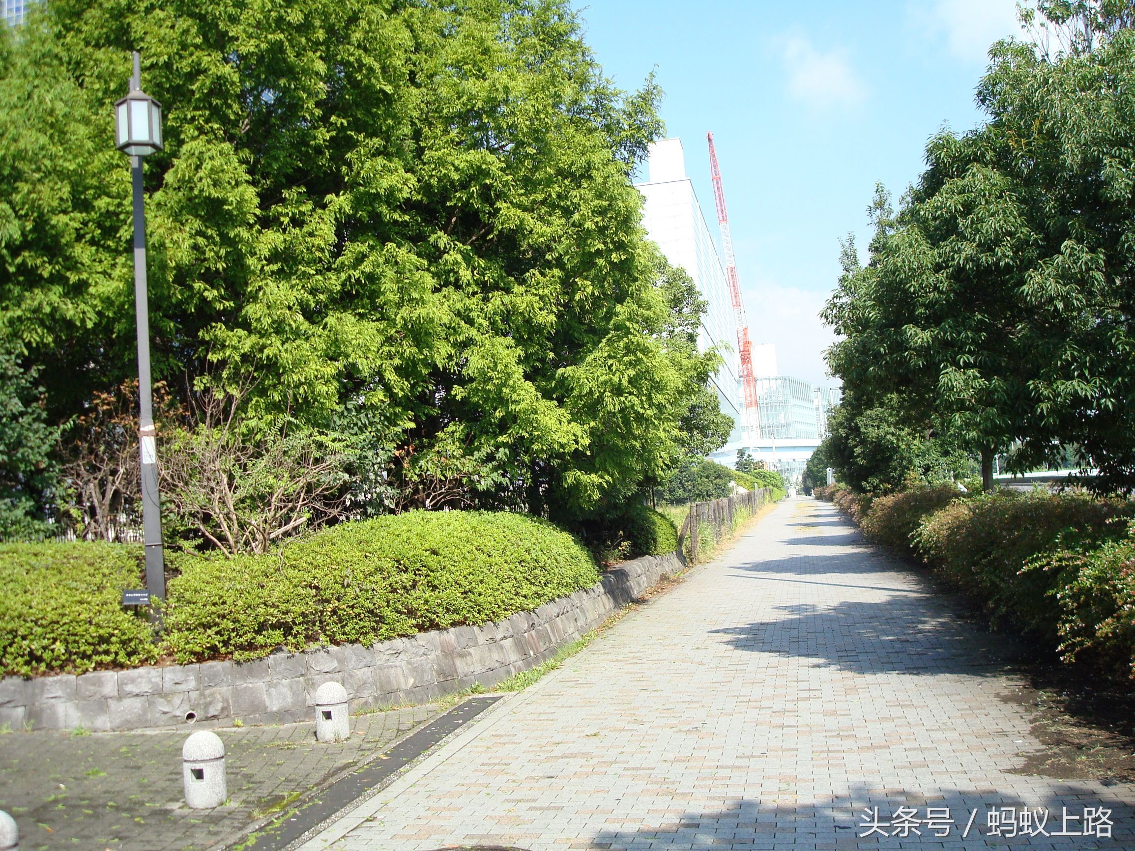 日本东京台场攻略,日本东京台场海滨