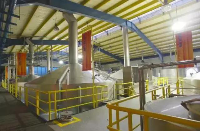 夏一站—深夜的啤酒比清晨的白粥好喝!尤其是虎牌的!