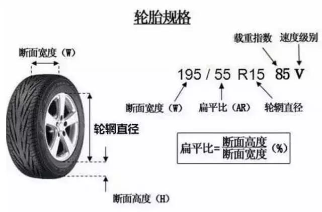 米其林轮胎花纹怎么选,静音又耐磨轮胎选什么