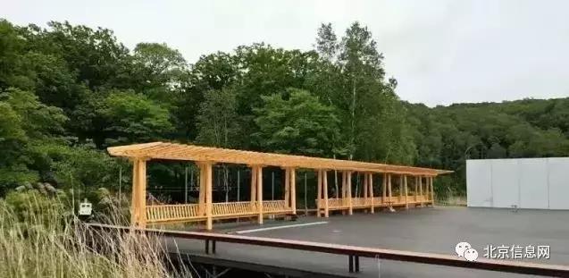 父亲节陪爸爸去玩耍,爸爸和宝贝间的互动父亲节