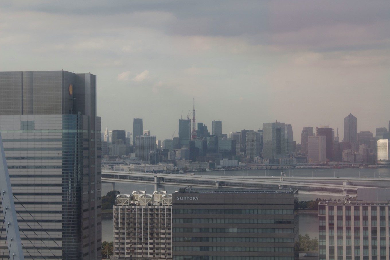 日本物语落樱下的邂逅,浪漫的日本物语