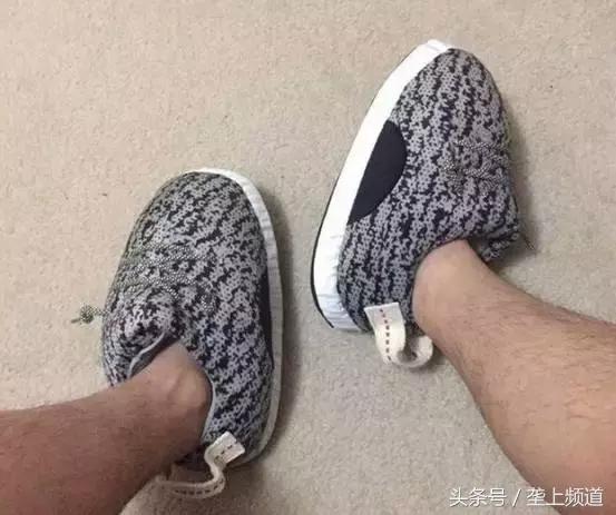 愤怒！网购鹅苗一天死一箩筐！