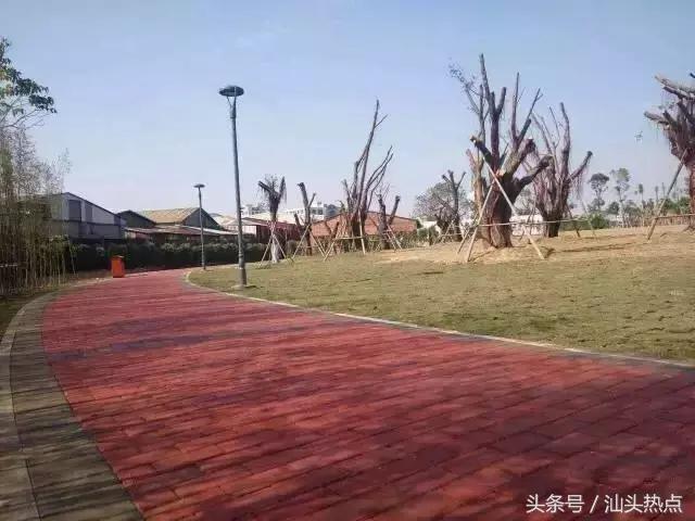 汕头十大公园,汕头最美园景