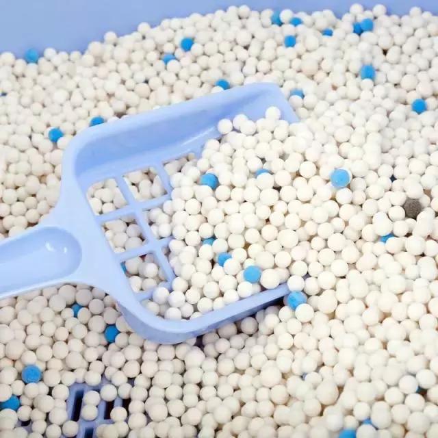 养猫家里异味怎么处理,租房养猫搬走如何消除异味