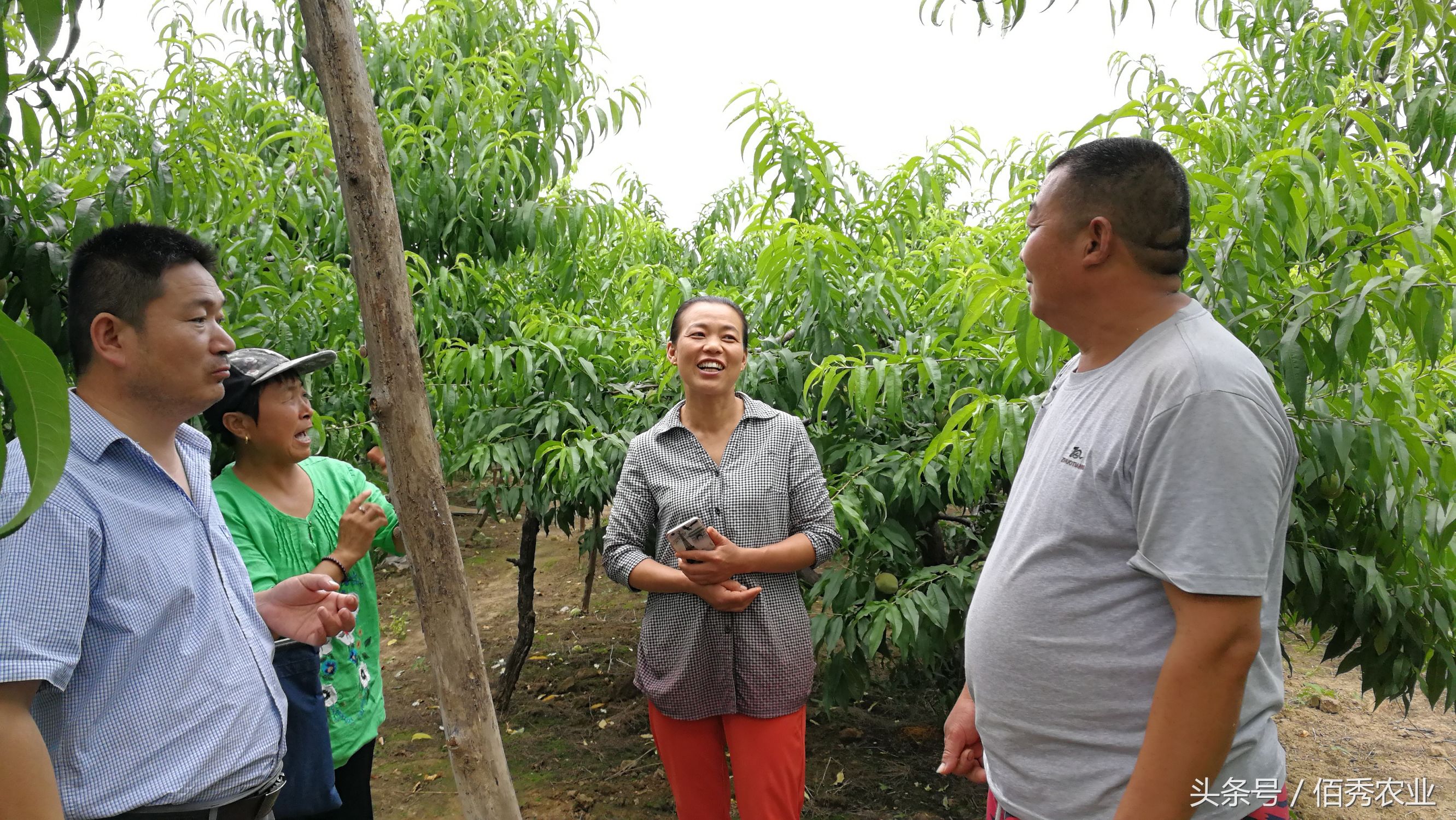 农村人赚钱的方法,农村赚钱三个小技巧