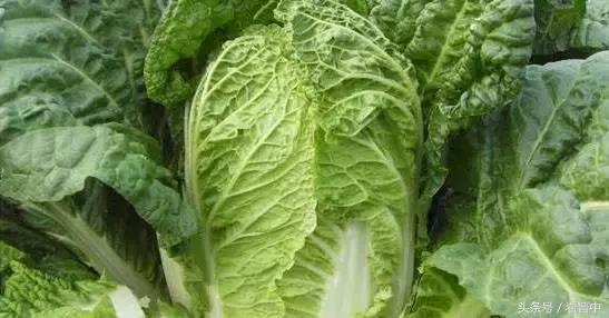 山西榆次必带的特产有什么,榆次有什么特产美食