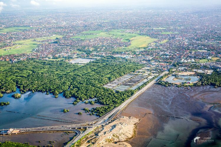 巴厘岛印象视频,巴厘岛印象深刻婚礼