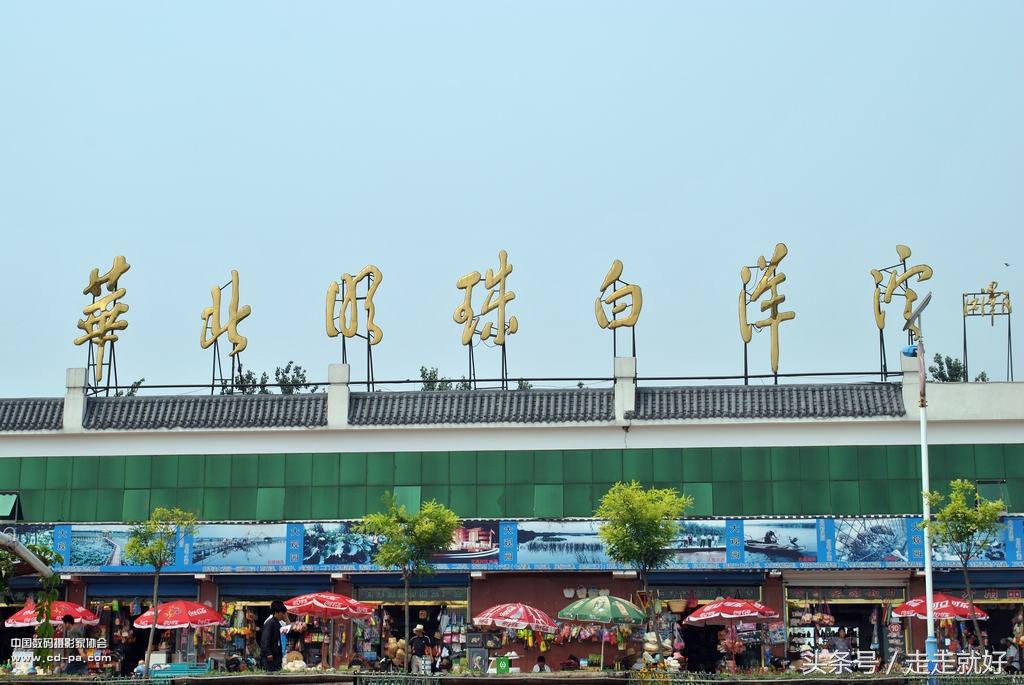 雄安新区白洋淀今日最新消息,雄安白洋淀近况