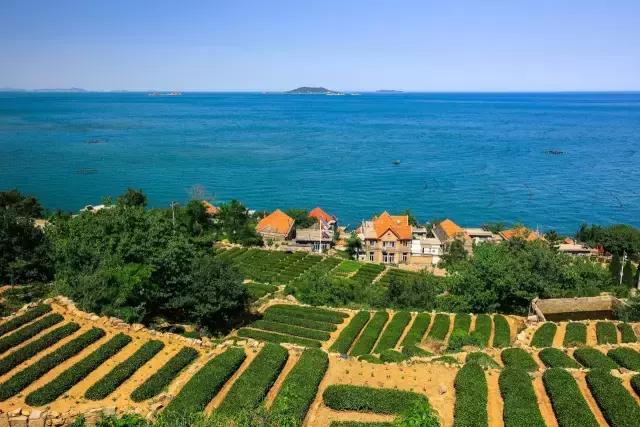 青岛周末休闲度假好地方冬天,青岛适合一家老小度假的地方