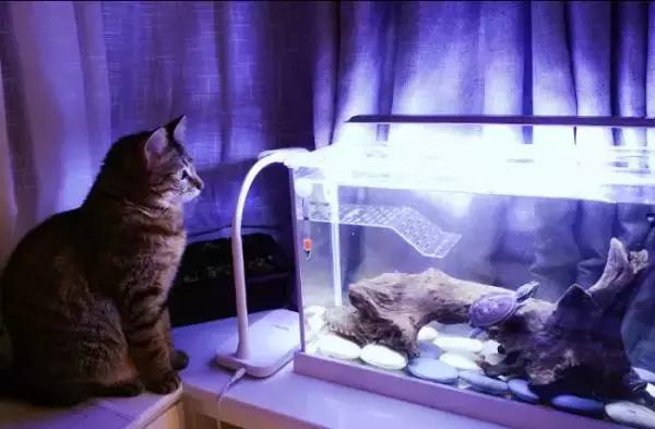 不砸瓷砖改造厨房,不砸墙改造房子