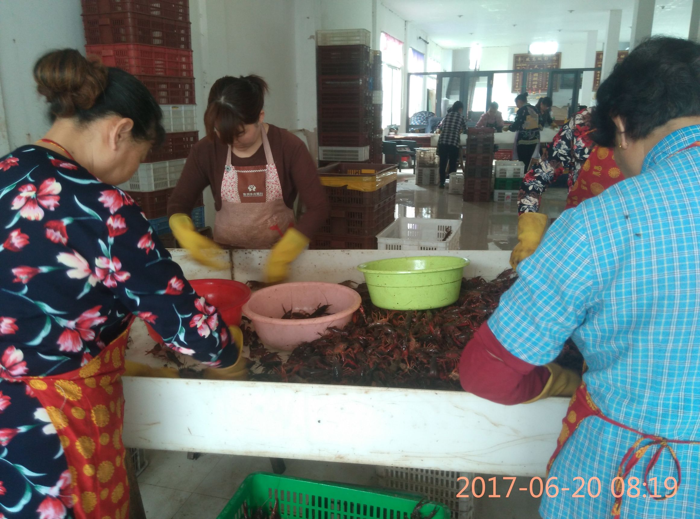 卖小龙虾怎么才能卖得更快,虾农卖龙虾视频