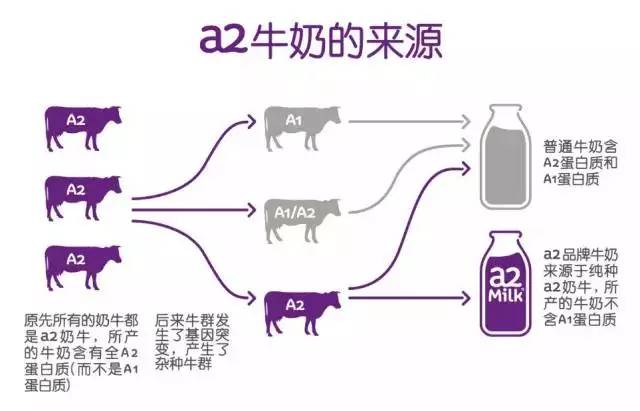 奶粉喂养省心还是母乳喂养累,奶粉喂养选奶粉好难