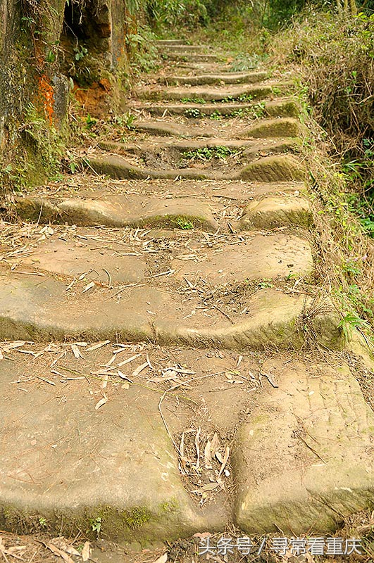 綦江渝黔盐茶古道,探秘鬼传说