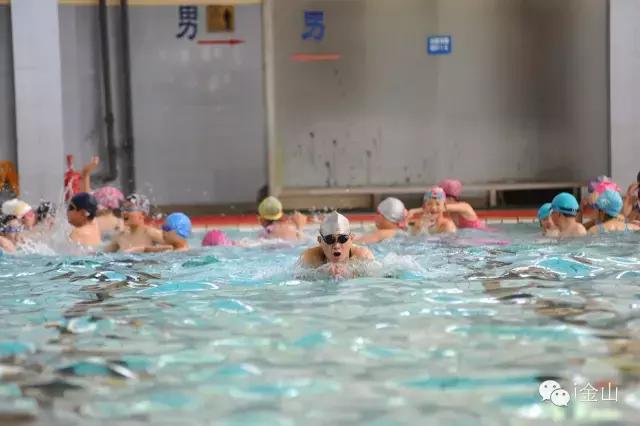 上海游泳馆都有哪些,上海游泳馆哪个比较好