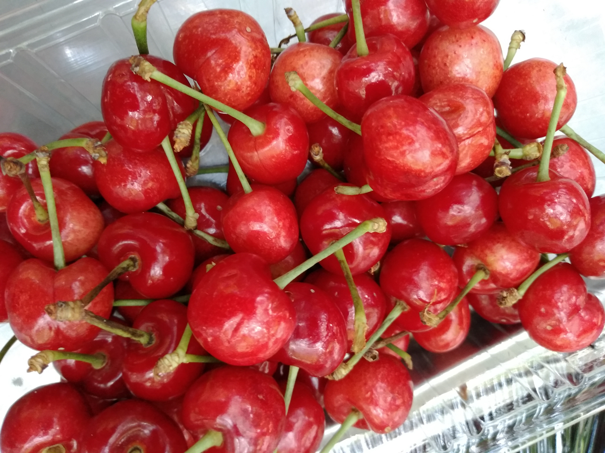 360n5s和n4s对比,360n5s真实测评