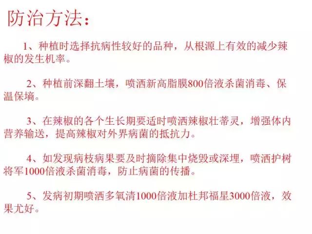 辣椒卷叶病虫害图谱及防治方案,辣椒病虫害大全