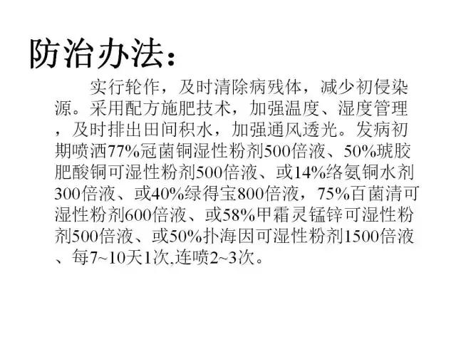 辣椒卷叶病虫害图谱及防治方案,辣椒病虫害大全