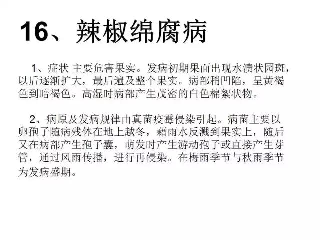 辣椒卷叶病虫害图谱及防治方案,辣椒病虫害大全