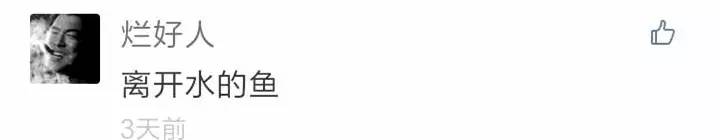 还有人记得自己qq第一个网名吗,你的第一个qq网名是什么