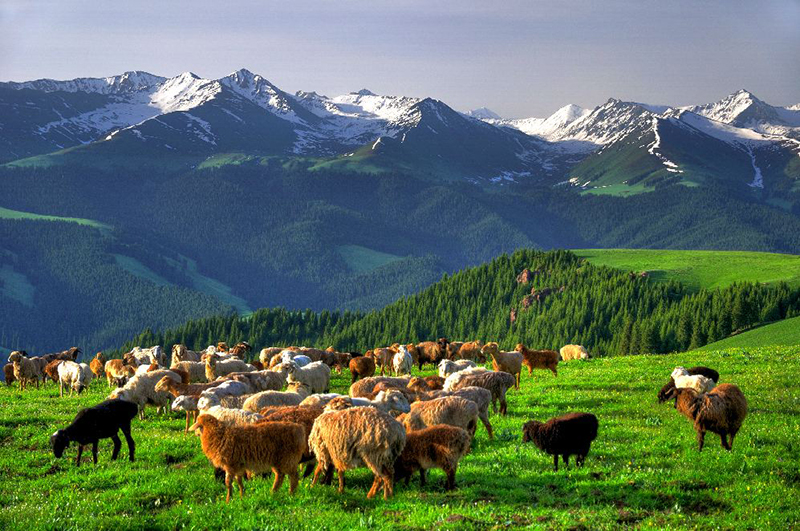 畅游塞外江南｜伊犁最详细最实用的旅行指南（1）