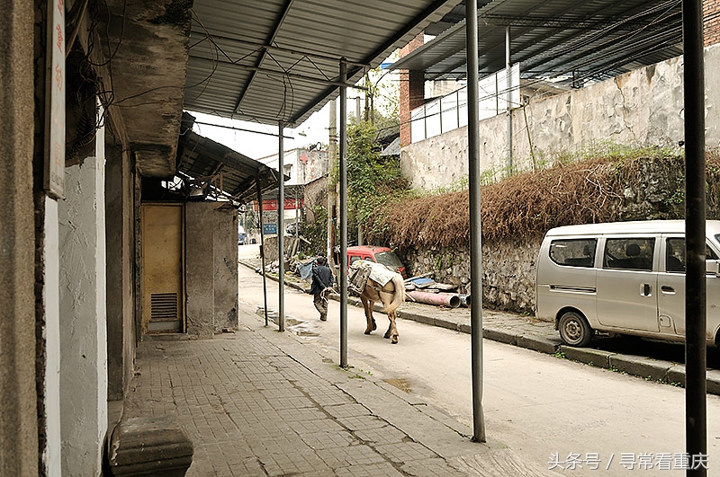 渝黔茶马古道视频,探访茶马古道上的蜈蚣桥