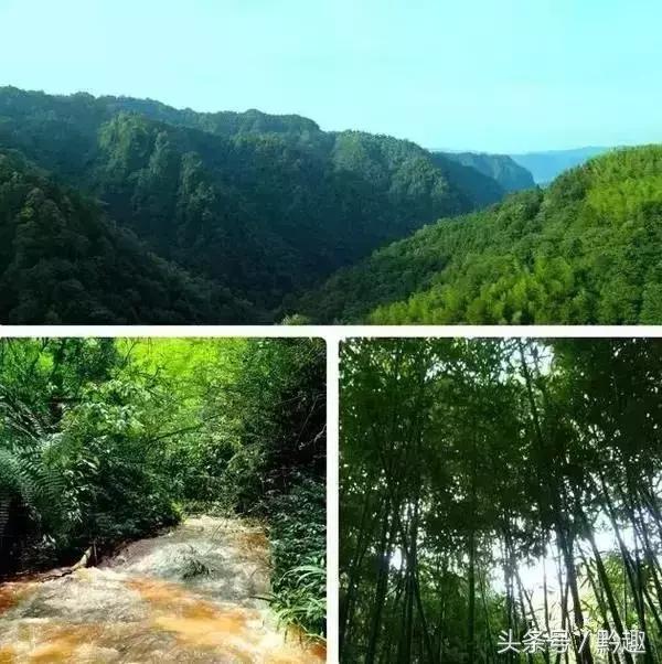 赤水天岛湖到天鹅堡,贵州赤水天岛湖旅游攻略