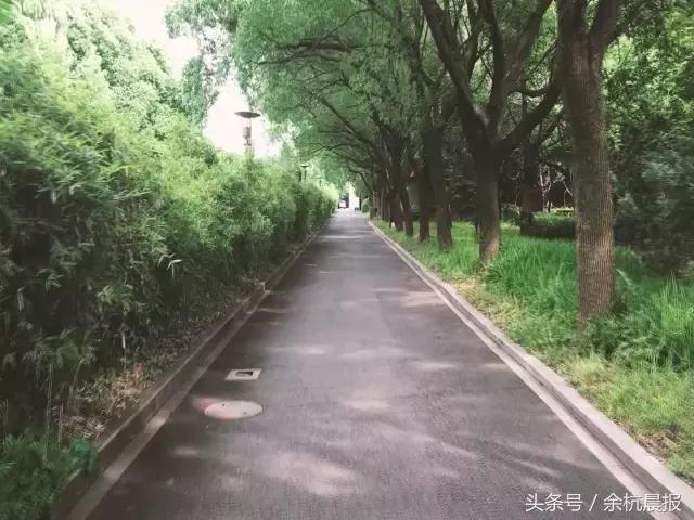 来不及道别就已永别,来不及告别青春已远逝