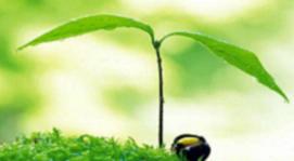 太阳雨古诗词,太阳雨原创诗歌