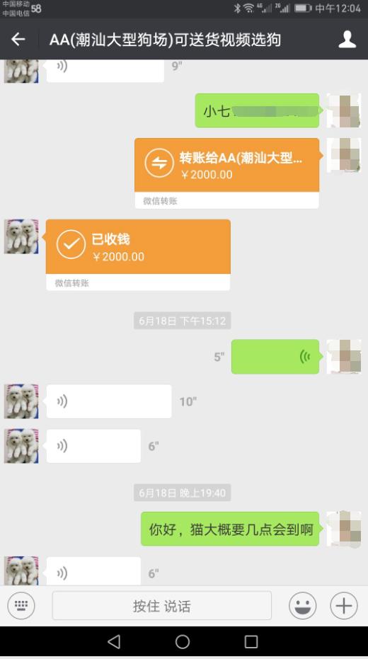 上网买一只布偶猫800元被骗,买猫被骗蓝眼白猫