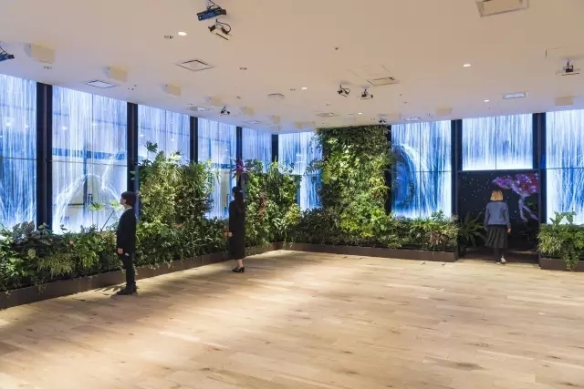 休假都不想去上班了,没有假期的工作好累想出去走走