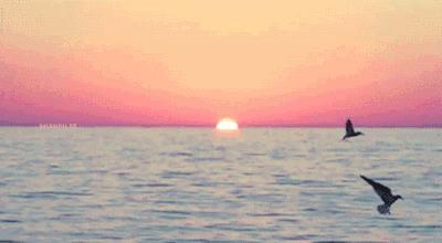 占星师芸天,芸天月亮星座