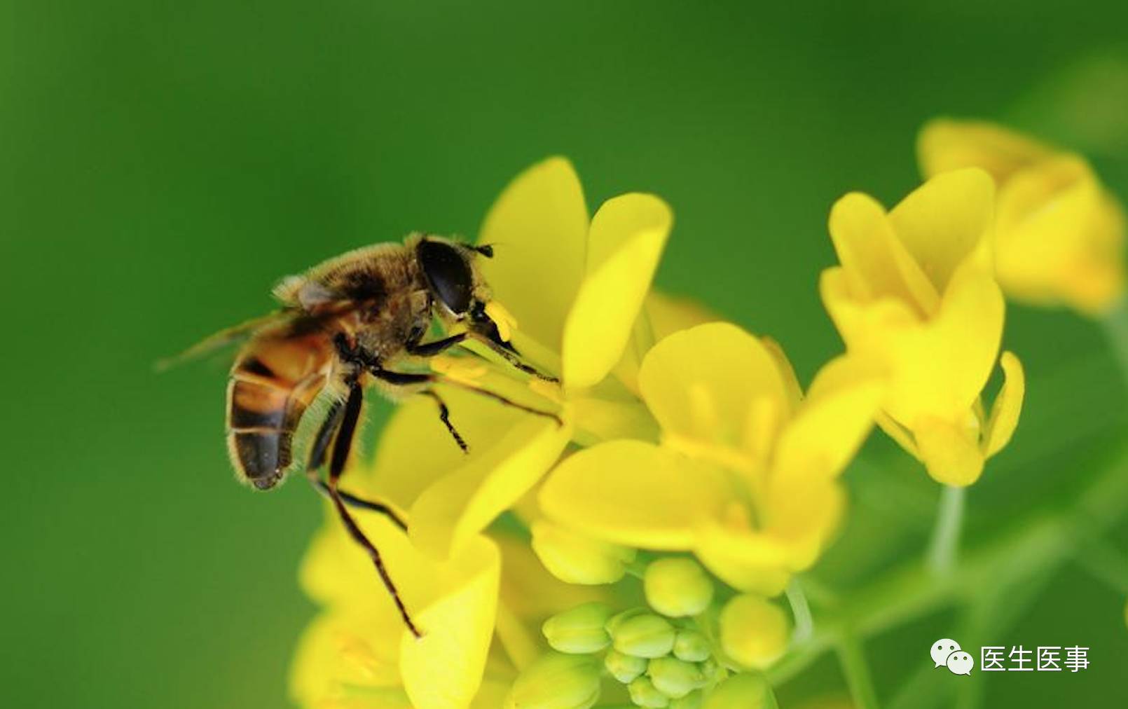 专治“百度病”｜HPV阳性不用治，不用治，不用治！
