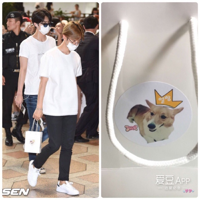 exo最新消息伯贤,exo分享张艺兴