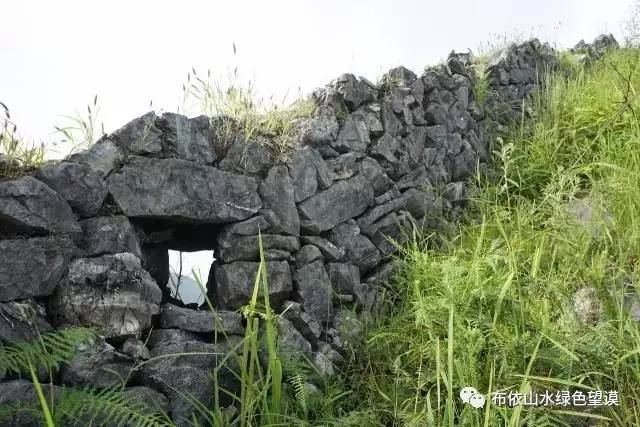 您好！我叫望谟，这是我的新名片~