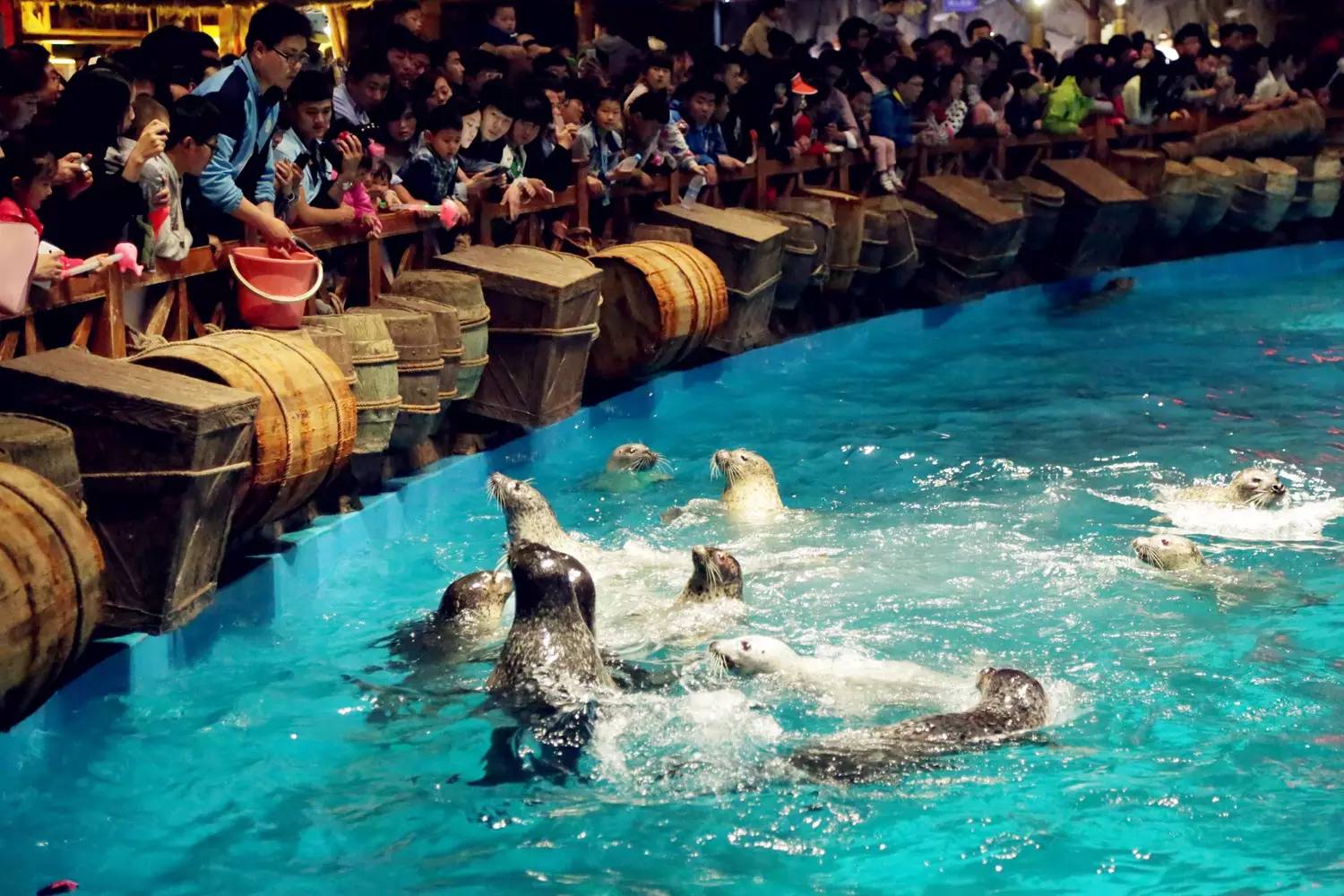 极地海洋世界年卡包含哪些,极地海洋世界惠民票