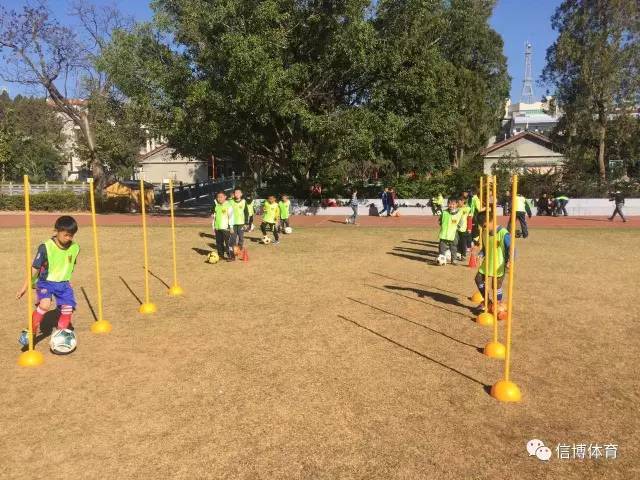 足球青训俱乐部工作计划,楚雄足球协会青训