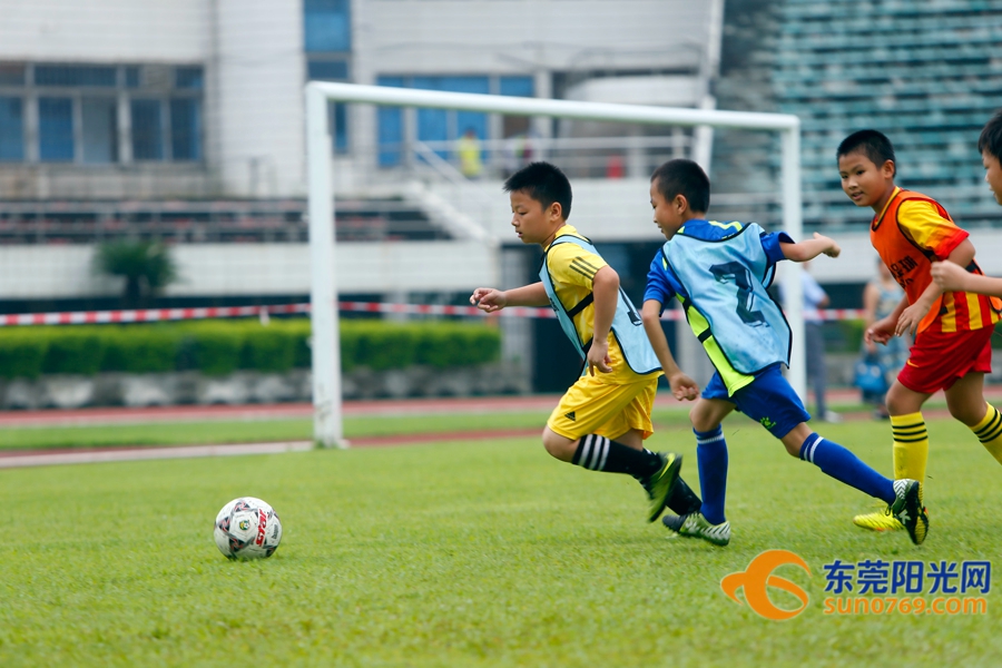 足球胜负怎么理解,如何做到足球胜负分析精准