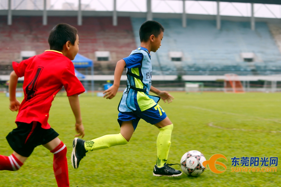 足球胜负怎么理解,如何做到足球胜负分析精准