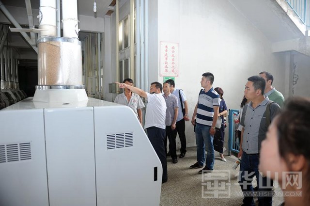 岩泉街道人大代表调研食品安全,临渭区人大调研食品安全